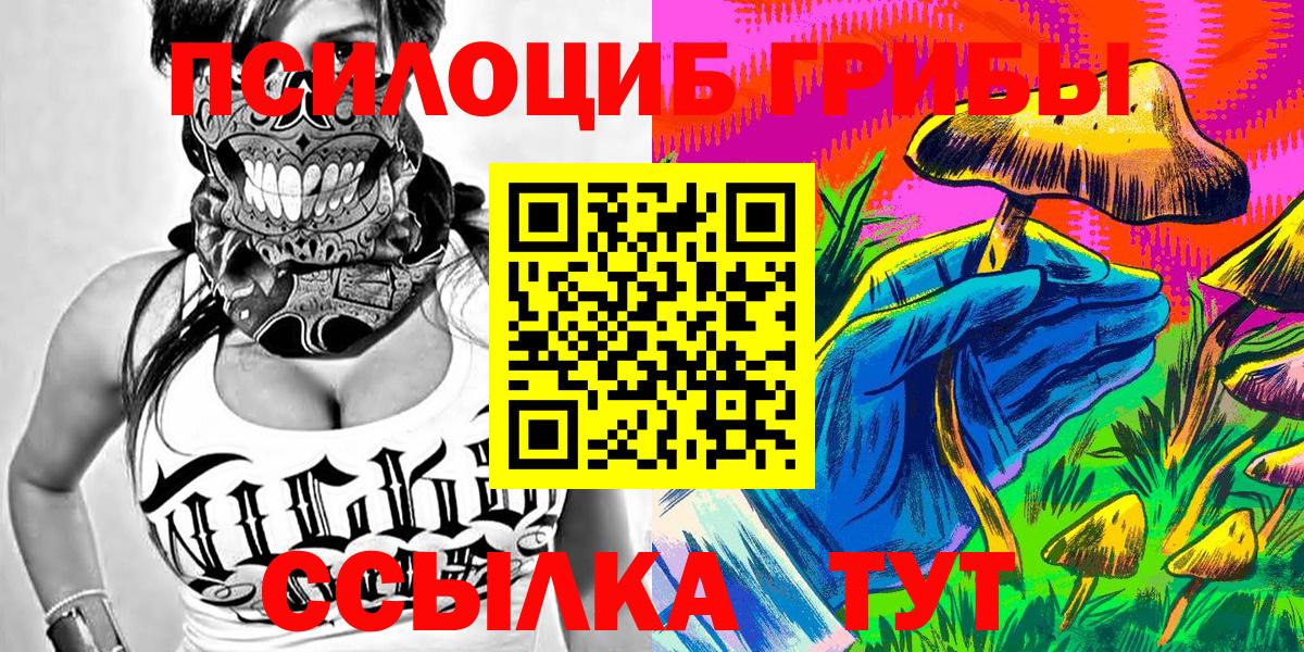 Славгород  Галлюциногенные грибы мухоморы  Псилоцибиновые грибы ЛСД  Вход с VPN 