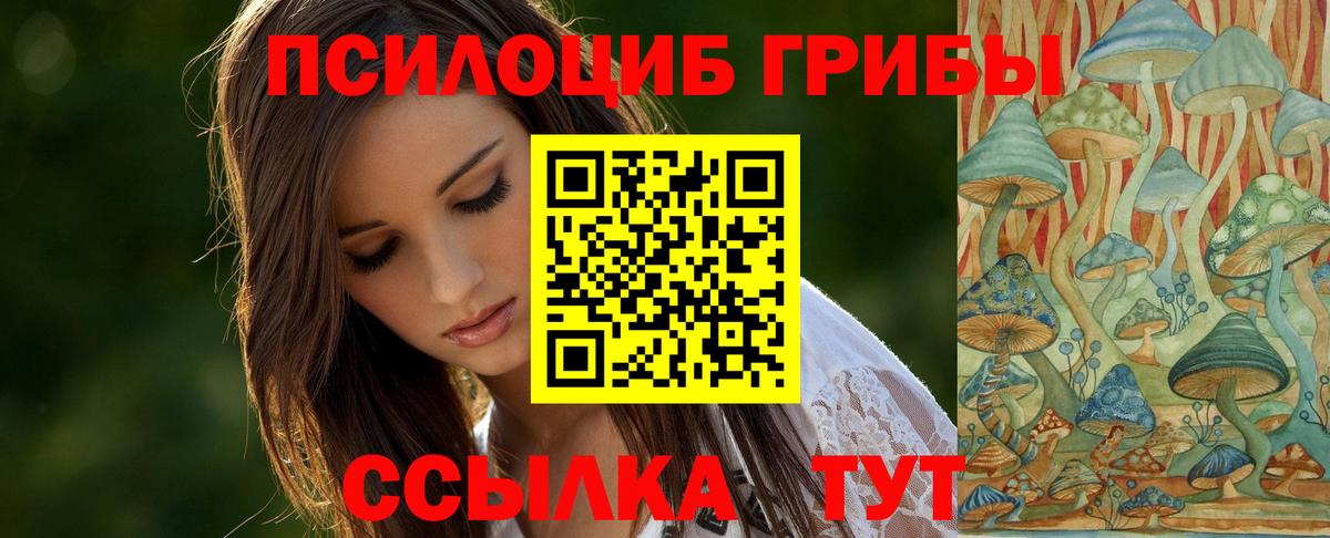Галлюциногенные грибы мицелий Славгород